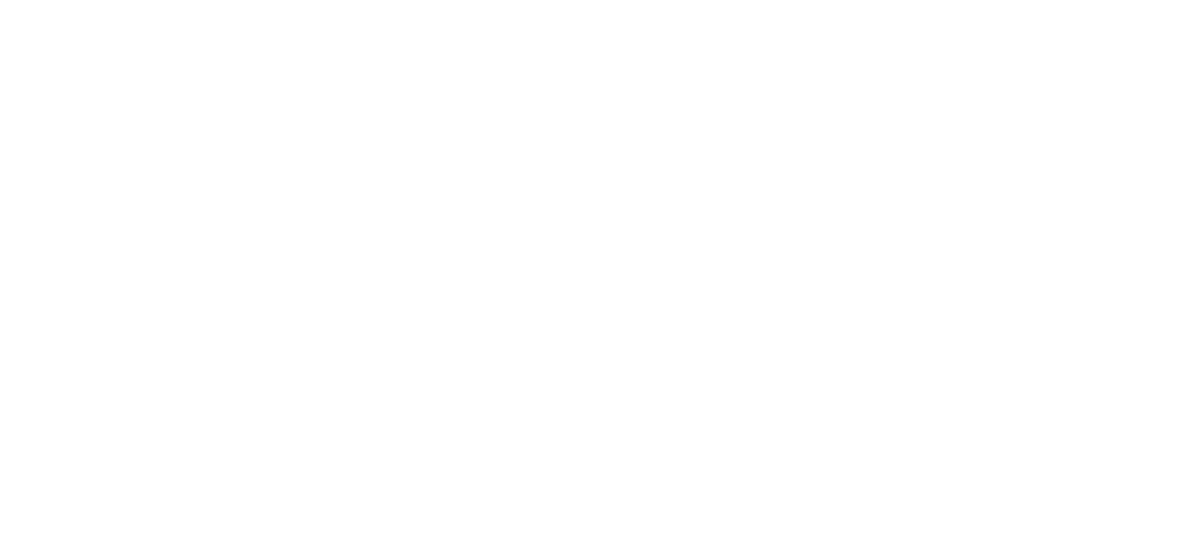 Team 980